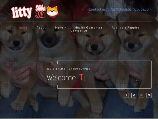 Screenshot of