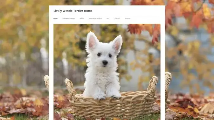 Screenshot of