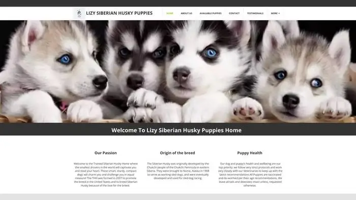 Screenshot of