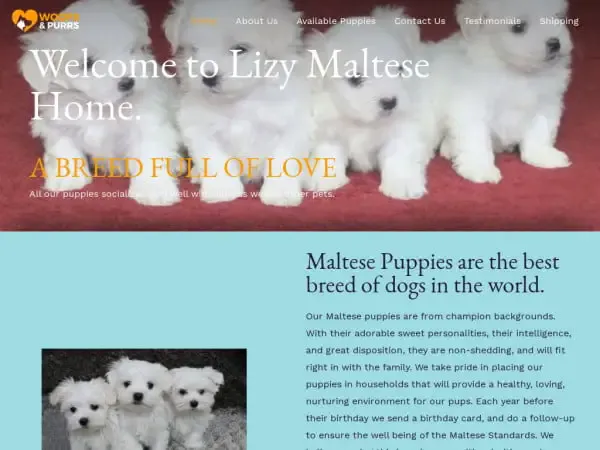 Screenshot of