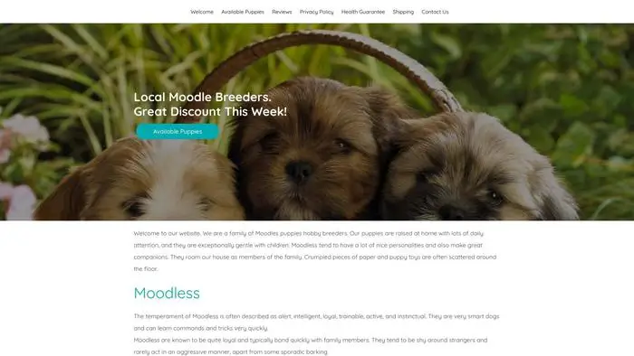 Screenshot of