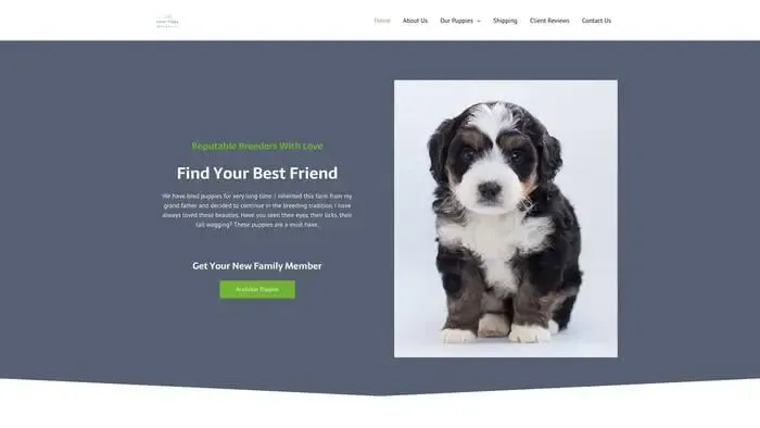 Screenshot of