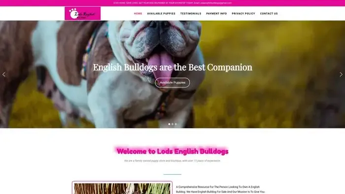 Screenshot of