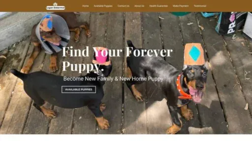 Screenshot of||