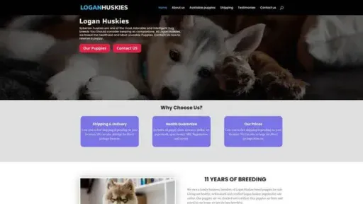 Screenshot of