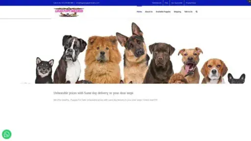 Screenshot of