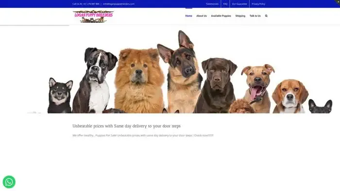 Screenshot of