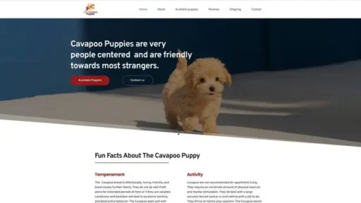 Screenshot of