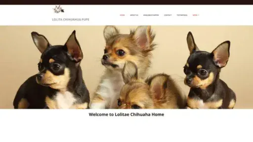 Screenshot of