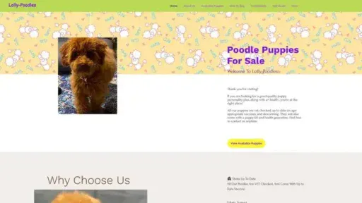 Screenshot of