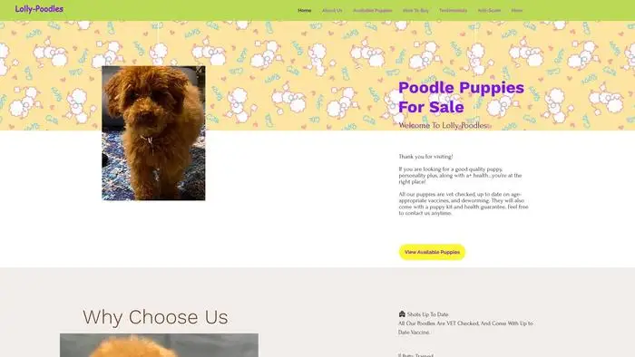 Screenshot of