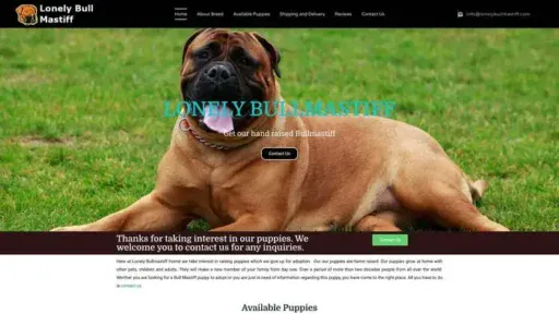 Screenshot of
