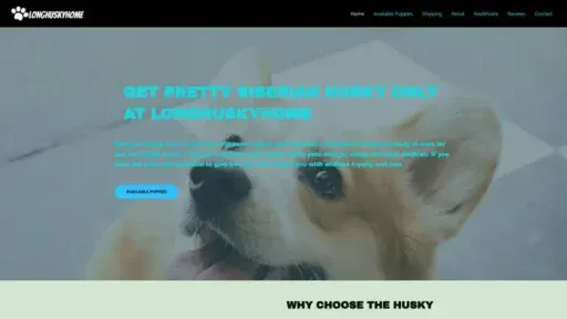 Screenshot of