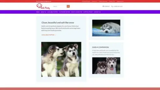 Screenshot of