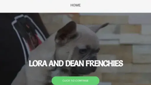 Screenshot of