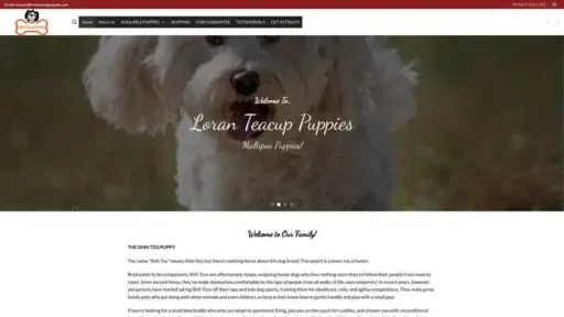 Screenshot of