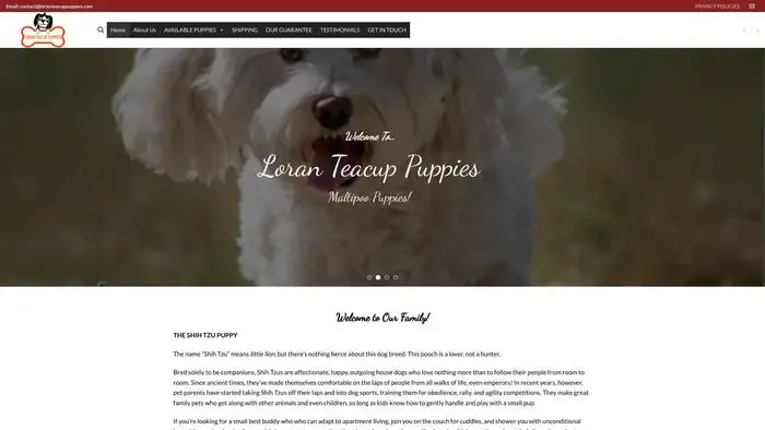 Screenshot of