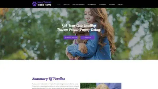Screenshot of