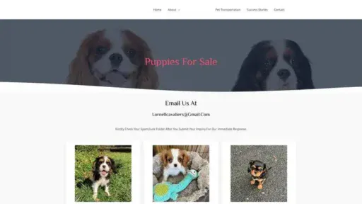 Screenshot of