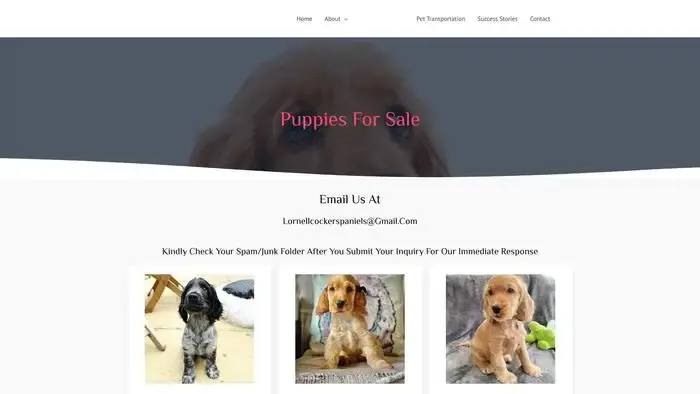 Screenshot of