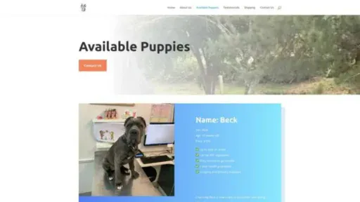 Screenshot of||