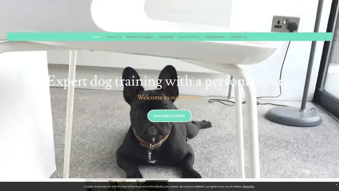 Screenshot of