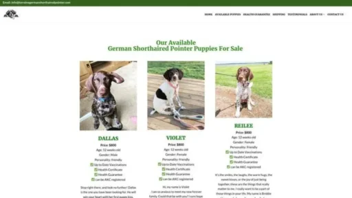Screenshot of||