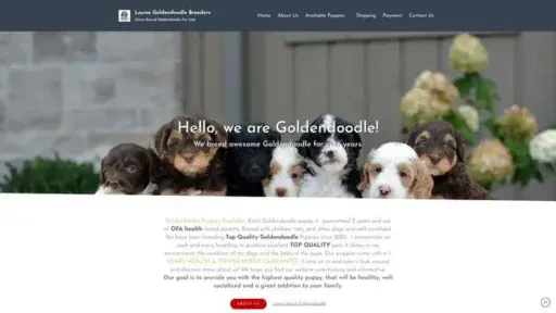 Screenshot of