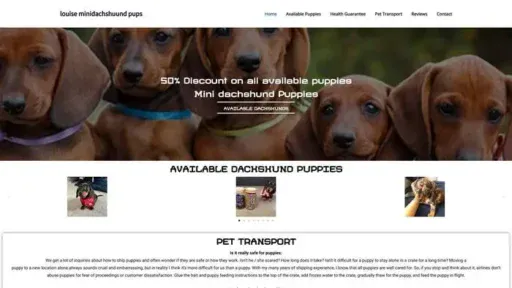 Screenshot of