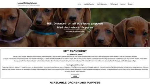 Screenshot of