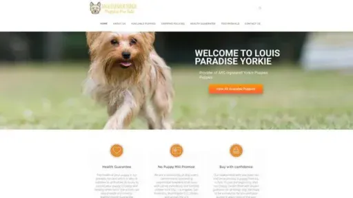 Screenshot of
