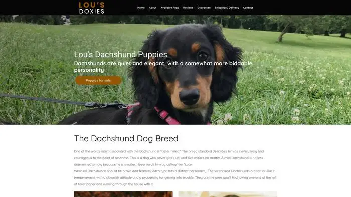 Screenshot of