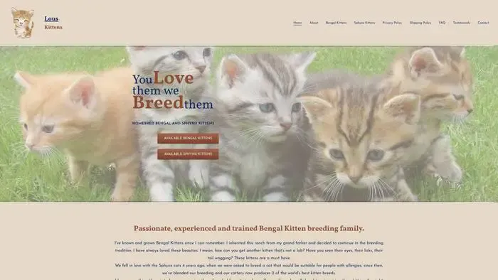 Screenshot of
