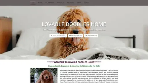 Screenshot of