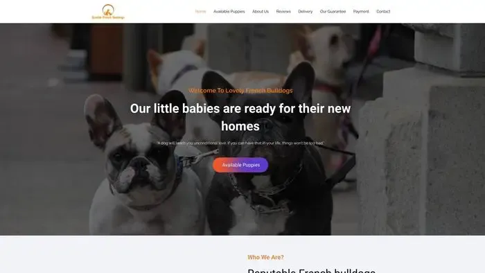 Screenshot of