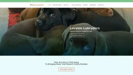 Screenshot of||