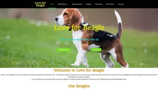 Screenshot of