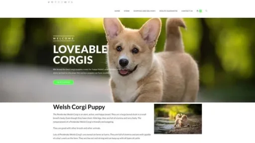 Screenshot of