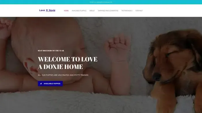 Screenshot of