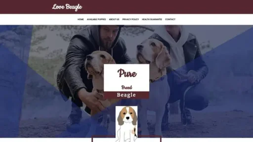 Screenshot of