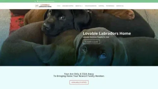 Screenshot of||