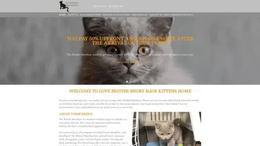 Screenshot of|
