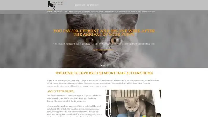 Screenshot of|