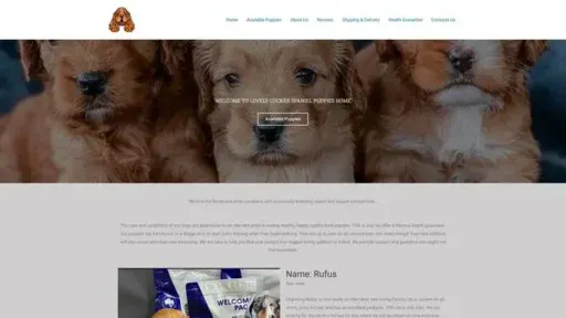 Screenshot of