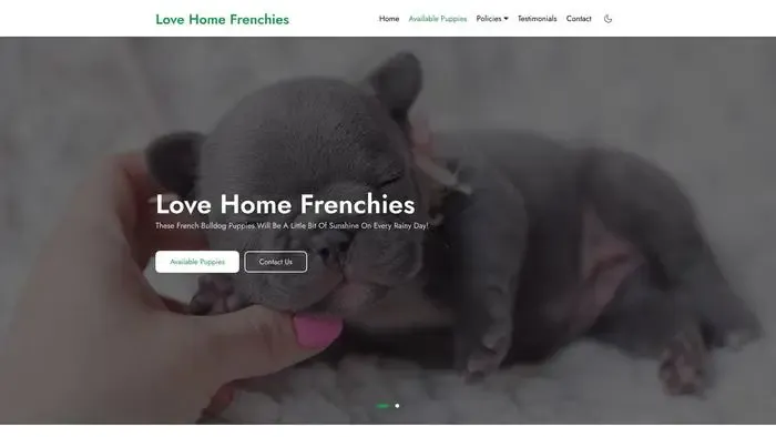 Screenshot of