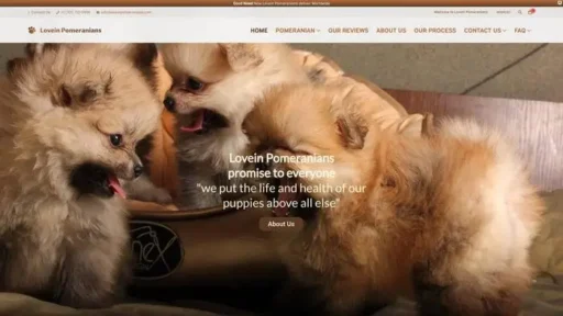 Screenshot of