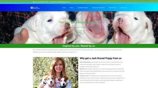 Screenshot of