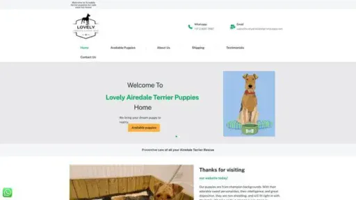 Screenshot of
