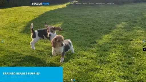 Screenshot of