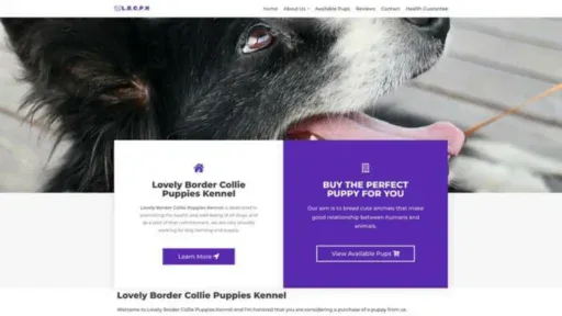 Screenshot of||